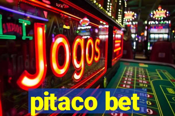 pitaco bet